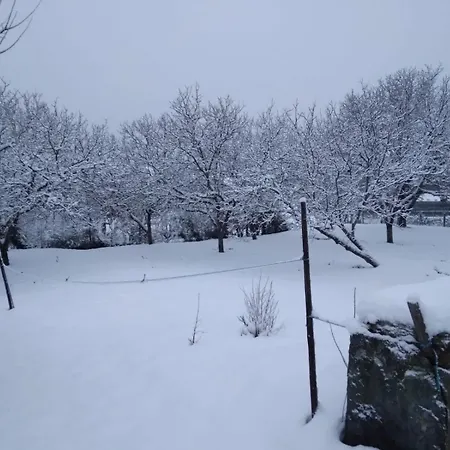 Casa Do Bonifacio Vakantiehuis *