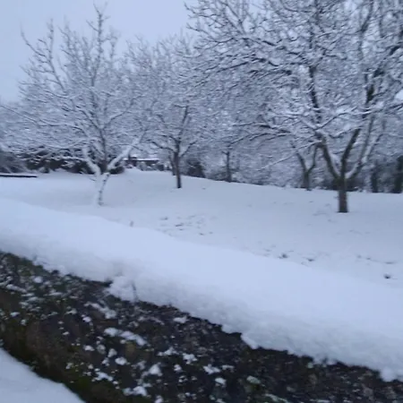 Hébergement de vacances Casa Do Bonifacio *