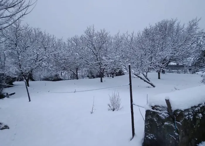 Casa Do Bonifacio Tatil Evi *